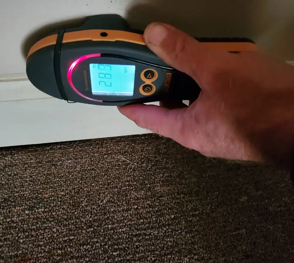 Moisture detection at baseboard during Mold Inspection & Testing in Bangor